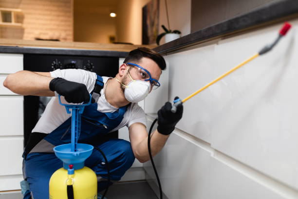 Best Pest Removal Services  in Cannelton, IN