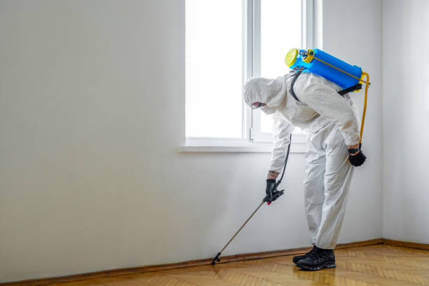 Best Exterminator Services  in Cannelton, IN