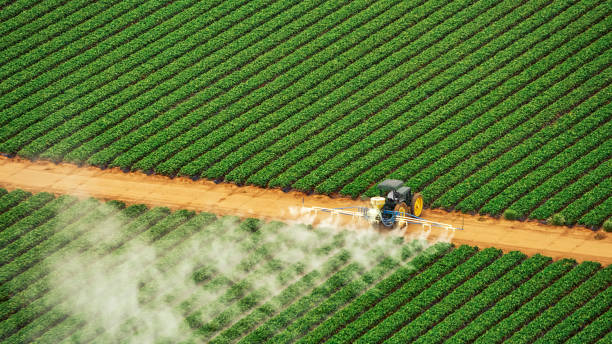 Best Local Pest Control Services  in Cannelton, IN