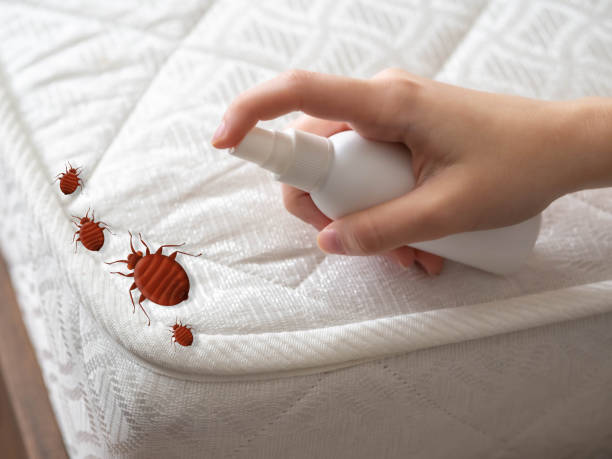 Best Flea Control Services  in Cannelton, IN