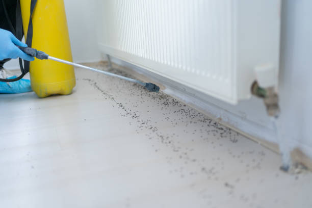 Best Ant Control Services  in Cannelton, IN