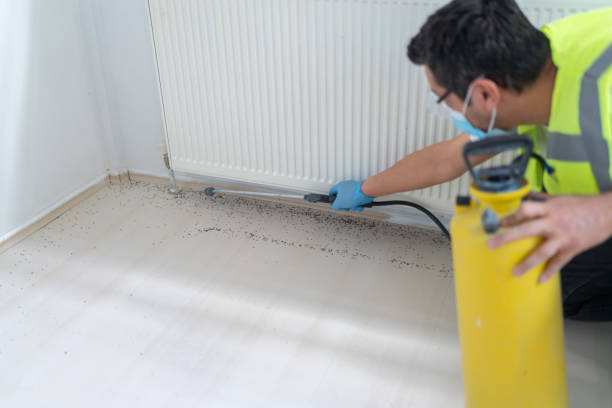 Best Commercial Pest Control Services  in Cannelton, IN