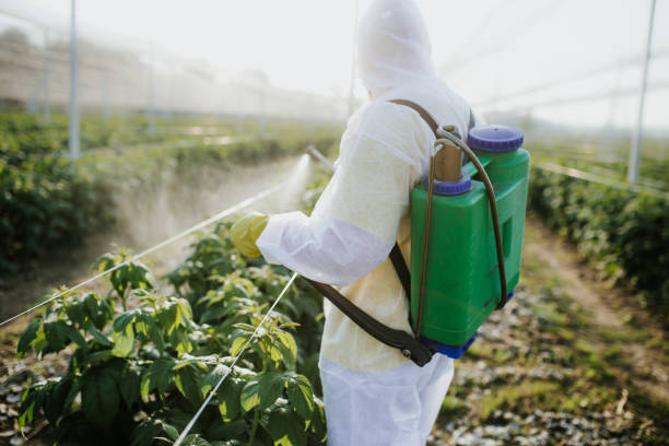Best Ant Control Services  in Cannelton, IN
